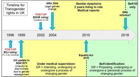 trans dalmine|Timeline of transgender history